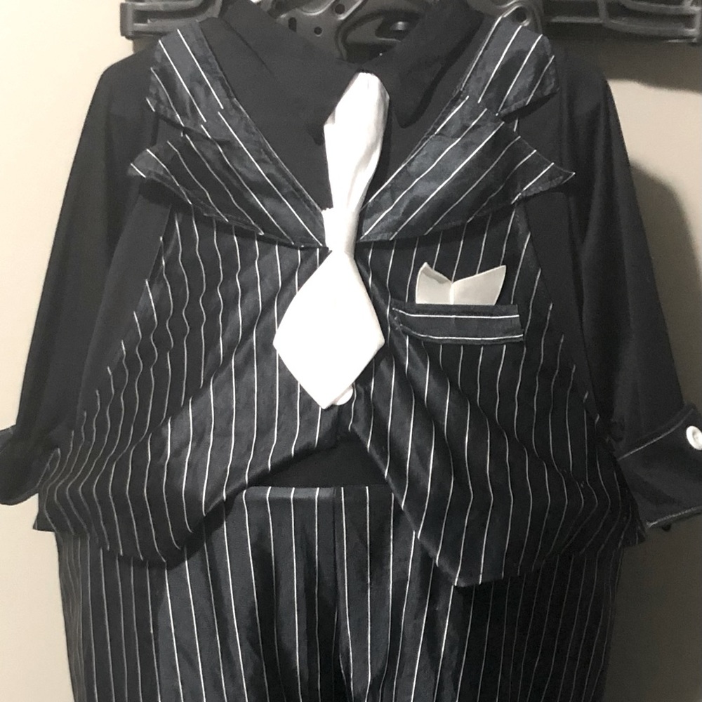 Big Suit Halloween Costume